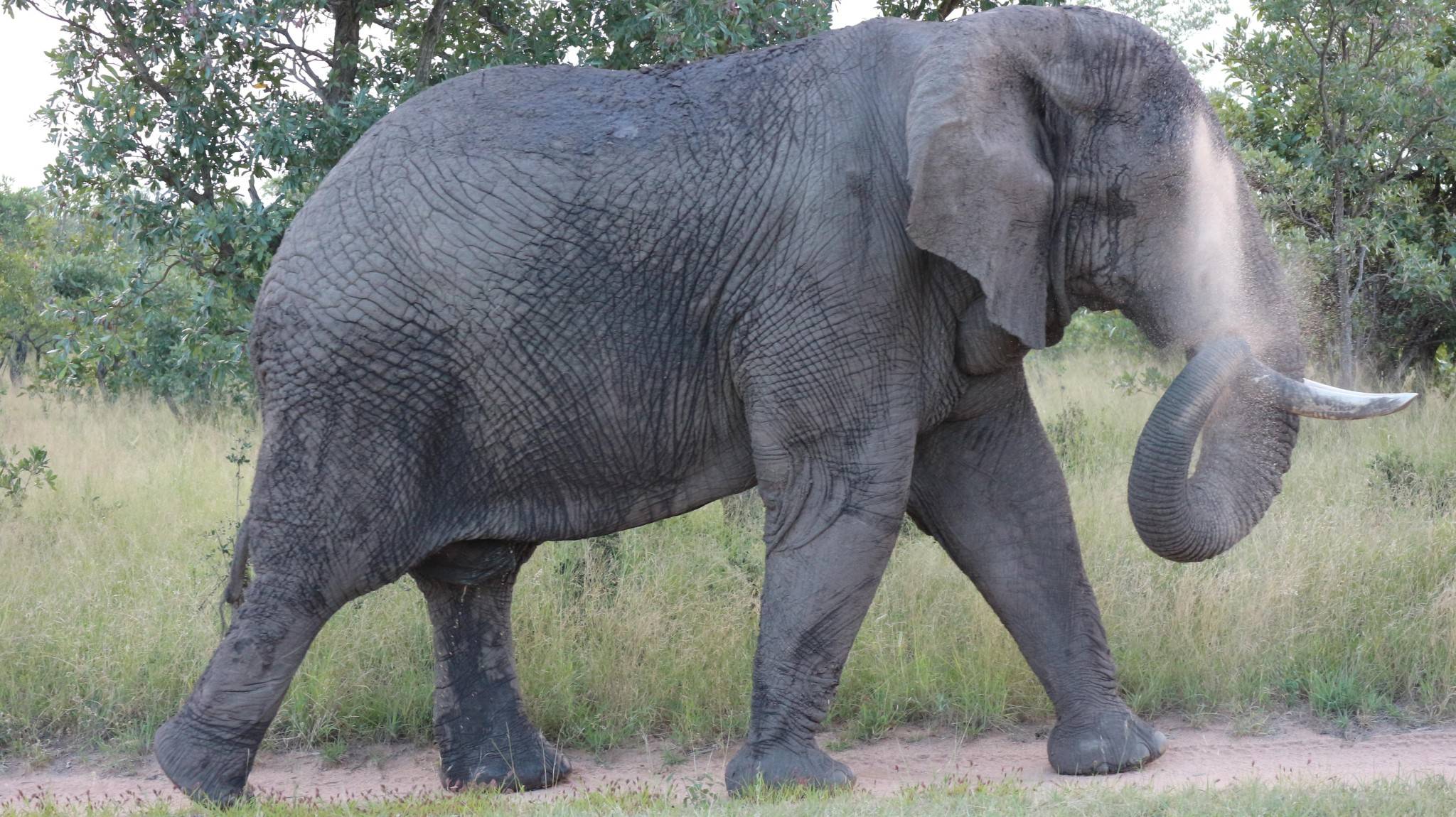 The Time I Fell in Love in Africa: Part 1